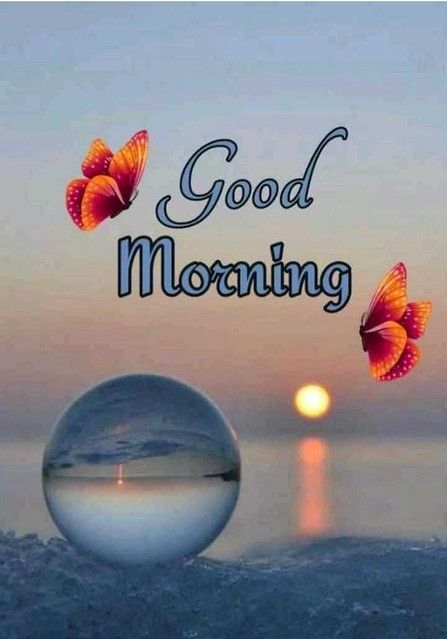 Recharge Yourself, Lovely Good Morning Images, Beautiful Good Morning, Good Morning Nature, Good Morning Beautiful Flowers, Good Morning Roses, Good Morning Animation, Good Morning Beautiful Pictures, Happy Good Morning Quotes