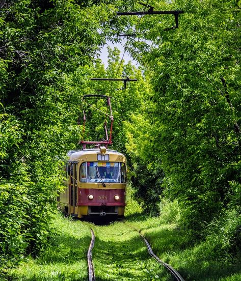 Yekaterinburg Russia, Plant Training, New Urbanism, Railway Track, Abandoned Train, Scenic Railroads, Aesthetic Japan, Train Pictures, Train Journey