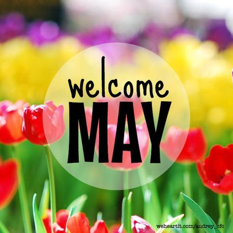 Welcome May month may quotes hello may welcome may may images may image quotes May Images, Hello May Quotes, April Wallpaper Aesthetic, Spring Wallpaper Iphone, Aesthetic Spring Wallpaper, Wallpaper April, Happy New Month Quotes, April Aesthetic, April Wallpaper