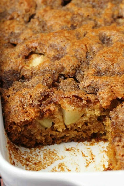 Apple Walnut Cake Recipe, Apple Walnut Cake, Wfpb Meals, Vegan Bakes, Walnut Cake Recipe, Aip Baking, Chocolate Chip Cake Recipe, Dairy Free Whipped Cream, Vegan Apple Cake