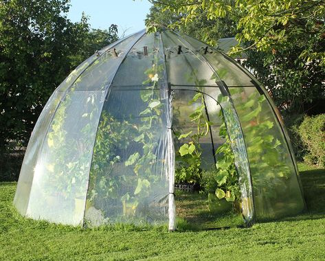 Territorial Seed Company Giant Sunbubble - National Garden Bureau Serre Diy, Hardening Off Seedlings, Traditional Greenhouses, Best Greenhouse, Small Greenhouse, Survival Gardening, Greenhouse Kit, Greenhouse Plans, Mini Greenhouse