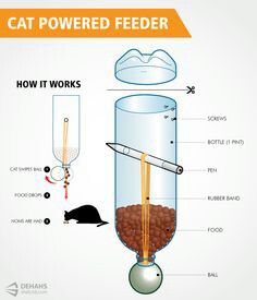 Cat feeder Diy Jouet Pour Chat, Katt Diy, Katt Grejer, Kat Diy, Chat Diy, Homemade Cat Toys, Diy Cat Toys, Cat Power, Homemade Cat