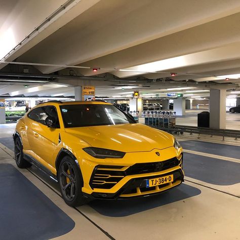 Lamborghini Urus Yellow, Lambo Urus, Flower Body Art, Tattoos Rose, Bmw Scrambler, Image Moto, Lamborghini Urus, Thigh Tattoos, Lamborghini Cars