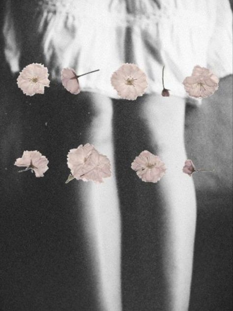 Pics Art, 로고 디자인, Collage Art, Flower Power, Mood Board, Art Photography, A Woman, Art Inspiration, Lily