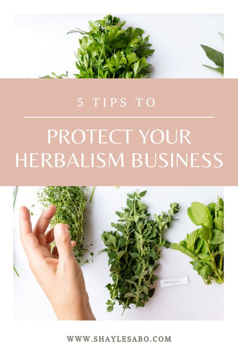 Herbal Business Ideas, Herb Business, Herbal Business, Starting An Apothecary Business, Herbalist Business, Starting An Herb Business, Apothecary Business, Herbal Packaging, Herbal Products To Sell