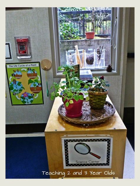 preschool science center; love the plants and the bags in the window displaying different science items Preschool Science Area, Science Area Preschool, Preschool Science Center, Science Center Preschool, Preschool Classroom Setup, Science Area, Space Lessons, Space Preschool, Preschool Rooms