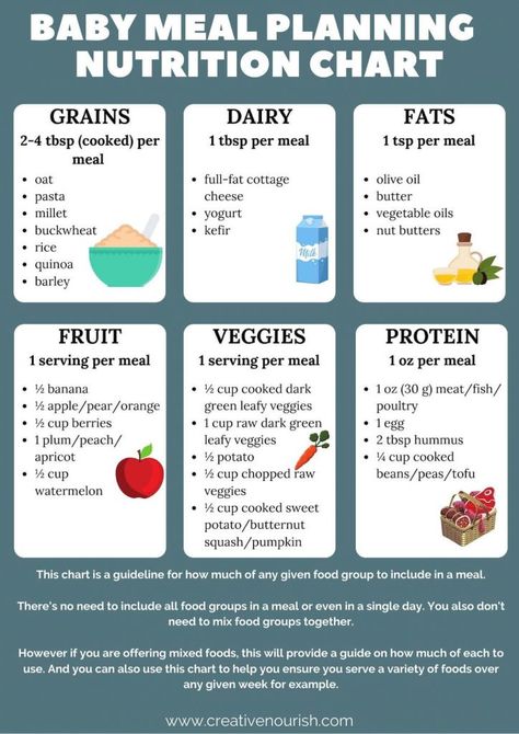 Weaning Chart, Easy Schedule, Baby Meal Plan, Baby Nutrition, Toddler Nutrition, Child Nutrition, Baby Food Chart, Nutrition Chart, Food Chart