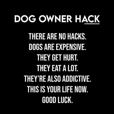 Best Dog Quotes, Dog Poems, Eat A Lot, Dane Dog, Lovers Quotes, This Is Your Life, Dog Funny, Dog Mama, Crazy Dog