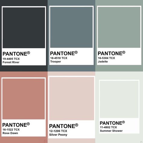 Pantone Grey Colour Palettes, Formal Colour Palette, Spreadsheet Design Ideas, Colour Palette Luxury, Elegant Pallete, Spreadsheet Color Palette, Grey Colour Pallete, Business Colour Palette, Grey Pallet Colour Palettes