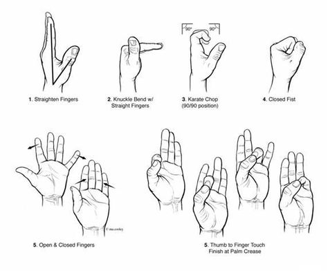 Hand Therapy Exercises, Occupational Therapy Assistant, Wrist Exercises, Finger Exercises, Hand Exercises, Hand Therapy, Carpal Tunnel, Occupational Therapist, Physical Therapist