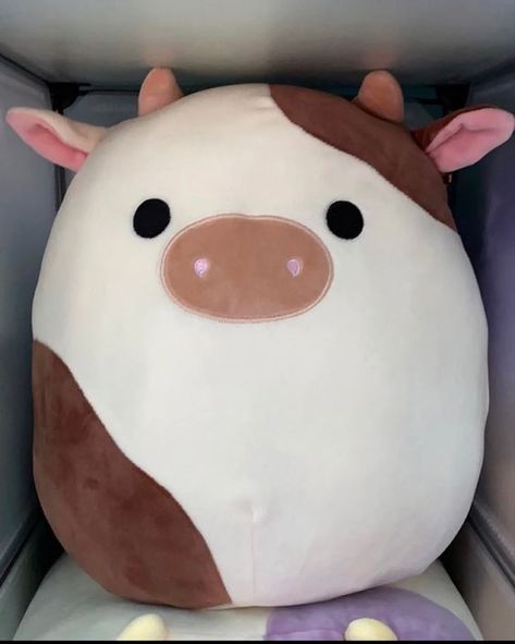 Squishmallows Big Size, Aesthetic Stuffed Animals, Peluche Aesthetic, Squishmallows Aesthetic, Cute Squishmallows, Squish Mellow, Squish Mallows, Cute Squishies, Kawaii Plush