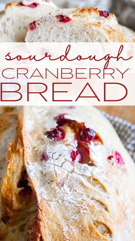 This amazing cranberry sourdough bread is the perfect combination of tart, sweet and sourdough. Its perfect for the holidays! Bread Flavor Ideas, Cranberry Sourdough Bread, Cranberry Sourdough, Cranberry Honey, Bread Artisan, Cranberry Walnut Bread, Cranberry Orange Bread, Sourdough Starter Discard Recipe, Homemade Sandwich