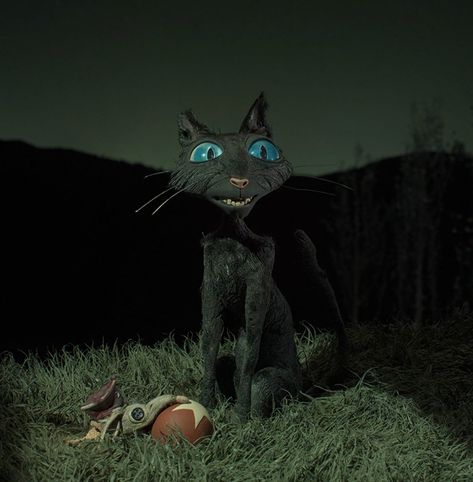 LAIKA Gives Behind-the-Scenes Look of their Pet Hospital for Coraline — GeekTyrant Coraline Cat, Coraline, Black Cat, Green, Blue, Black