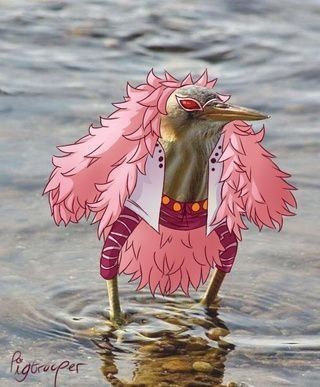 Meme One Piece, Doflamingo Wallpaper, رورونوا زورو, One Piece Meme, One Piece Wallpaper Iphone, One Peice Anime, One Piece Funny, One Piece Drawing, One Piece Images