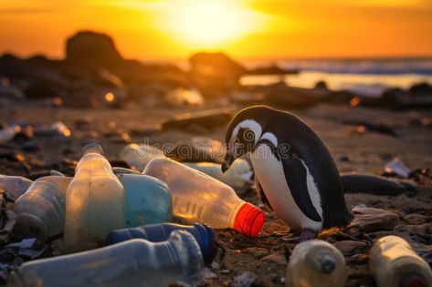 A penguin on the beach with garbage, plastic waste, concept environmental pollution. Pollution of the ocean and coast stock images All Pollution In One Picture, Solution To Plastic Pollution Drawing, Coast Illustration, Poster On Beat Plastic Pollution, Fish Plastic Pollution, Beach Pollution, Environmental Pollution, Plastic Pollution, Plastic Waste