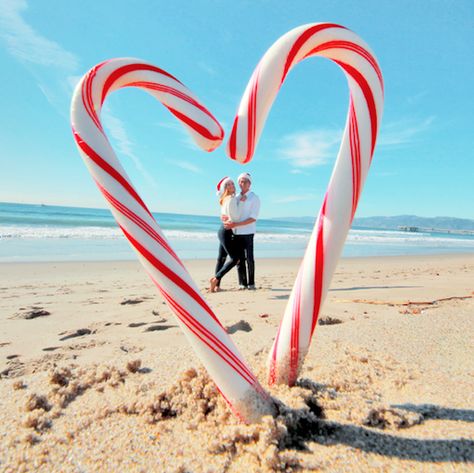 Christmas Beach Family Photos Hawaii, Christmas Photo On Beach, Christmas Decor Ideas Outdoor Inflatables, Christmas Photoshoot At The Beach, Florida Christmas Family Photos, Christmas Photos At The Beach, Christmas Pics On The Beach, Tropical Christmas Photoshoot, Christmas Family Photos On The Beach