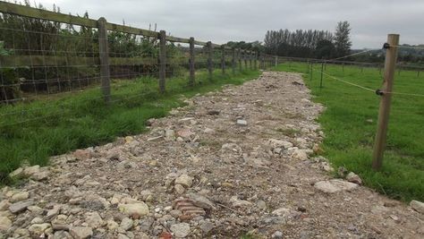 Paddock Footing, Miniature Horse Barn, Paddock Trail, Barn Layout, Horse Paddock, Paddock Paradise, Dream Stables, Dream Horse Barns, Farm Layout