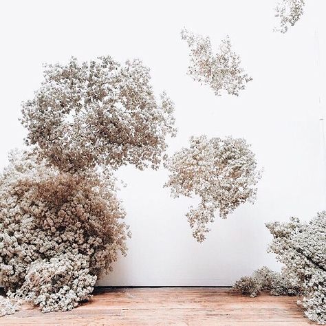 CLOUDS | indoor ceremony? Turns out you can still have clouds. But seriously how gorgeous are these baby’s breath arrangement Repost:… Blue Flower Arrangements, White Flower Arrangements, Deco Champetre, Flower Installation, Flowers Arrangements, Hanging Flowers, Beautiful Flower Arrangements, Deco Floral, Little Garden