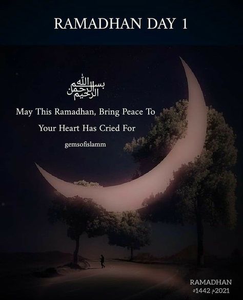 Ramadhan Vibes Aesthetic, Ramadhan Quotes Aesthetic, Ramadhan Wishes, Ramazan Quotes, Ramadan Quote, Ramzan Dua, Quranic Ayat, Ramadan Dates, Best Ramadan Quotes