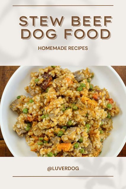 Top 10 Homemade Dog Food Easy To Digest Homemade Dog Meals, Stew For Dogs, Oatmeal For Dogs, Venison Dog Food, Homemade Stew, Homemade Dog Food Vet Approved, Healthy Homemade Dog Food, Johnny 5, Dog Food Homemade