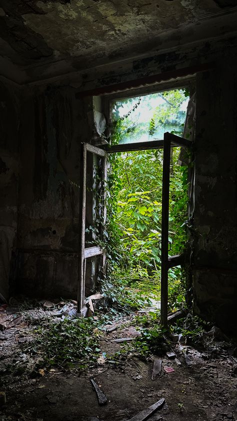 Overgrown Building Aesthetic, Abandoned Building Photography, Abandoned School Aesthetic, Abandoned Building Aesthetic, Abandoned Artwork, Abandoned Library, Man Vs Nature, Abandoned Human Structure, Abandoned Malls