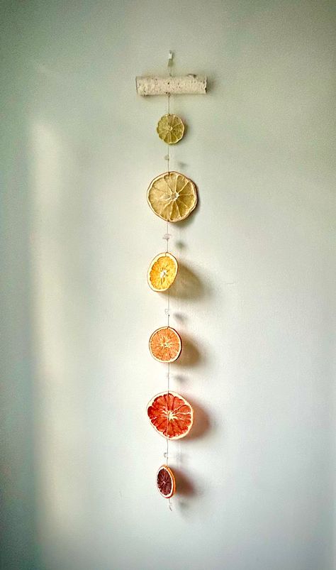 "This darling dangler features birch, a rainbow variety of citrus, and your choice of crystal.  It's a colorful way to attract luck, harmony, and purification, all while looking cheerful and bright in the rays of Mr. Golden Sun! Made with natural hemp twine, this hangs 5\" wide and 16\" long." Sunny Decor, Diy Hanging Decor, Sun Crafts, Hemp Twine, Craft Night, Nature Crafts, Nature Decor, Interior Design Inspiration, Twine