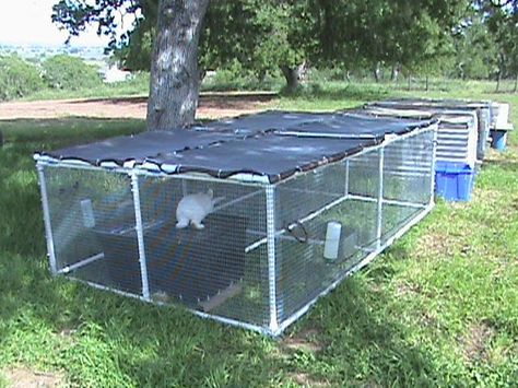 make solar panels!!!!!!!!!!!!!!!!!!!!!!!!!!!!!!!!!!!!!!!!!!!!!!!!!!!!!!!!!!!!!!!!!!!!!!!!!!!!!!!!!!!!!!  for rabbits,,,chickens Raising Rabbits For Meat, Diy Rabbit Hutch, Rabbit Pen, Rabbit Hide, How To Tan, Rabbit Farm, Meat Rabbits, Raising Rabbits, Rabbit Cages