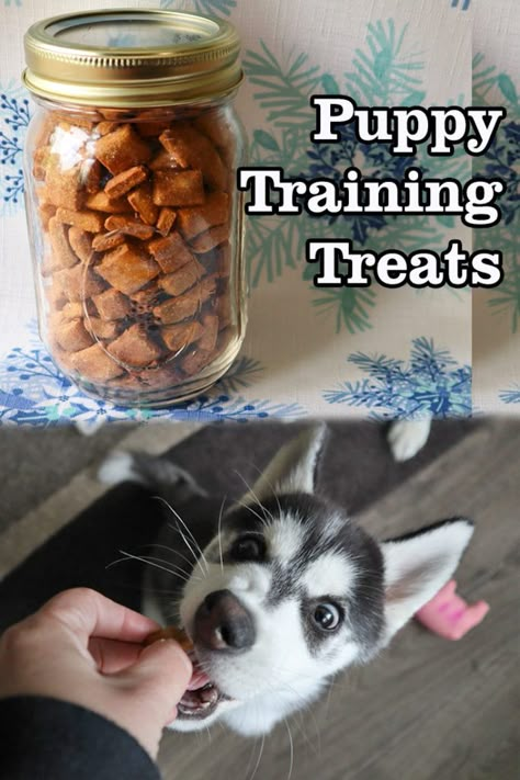 Puppy Training Treats | Homemade Dog Treats - Gone to the Snow Dogs | Siberian Husky Love Homemade Dog Treats For Small Dogs, Mini Dog Treat Recipes, Puppy Training Treats Homemade, Homemade Dog Treats For Shih Tzu, Mini Dog Treats Homemade, Diy Puppy Training Treats, How To Make Puppy Treats, High Value Dog Treats Training, Homemade Puppy Treats