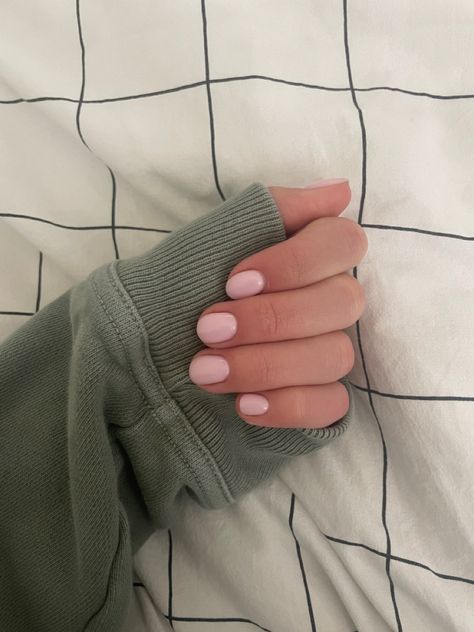 Short Matte Pink Nails, Plain Gel Nails Simple Short, Pale Pink Gel Nails Short, Round Short Natural Nails, Pale Pink Nails Short, Plain Pink Gel Nails, White Pink Gel Nails, Shellac Nails Light Pink, Short Light Pink Dip Nails