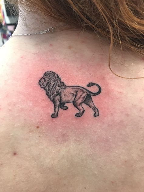 Lion Tattoo Aesthetic, Small Lion Tattoo Men, Lion Body Tattoo, Mini Lion Tattoo, Lion Tattoo Back, Lion Tattoo Men, Aesthetic Tats, Small Lion Tattoo For Women, Lion Tattoo For Women