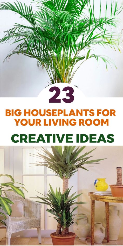 Transform your living space into a tranquil oasis by incorporating statement-making large houseplants. Embrace the grandeur of the majestic monstera deliciosa, featuring lush tropical leaves for a striking aesthetic. Elevate your room's design with the architectural elegance of the yucca plant and its tall, spiky foliage. Introduce a hint of paradise with a graceful palm tree that adds height and tropical vibes indoors. Indoor Palm Trees Living Room, Big Plants Indoor Living Rooms, Areca Palm Indoor, Palm Tree Indoor, Big House Plants, Indoor Palm Plants, Inside Gardening, Large Houseplants, Old House Decorating