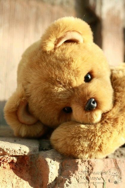 Teddy Pictures, Teddy Bear Images, Teddy Bear Wallpaper, Teddy Bear Pictures, Bear Hugs, Teddy Bear Collection, Brown Teddy Bear, Bear Pictures, Tatty Teddy