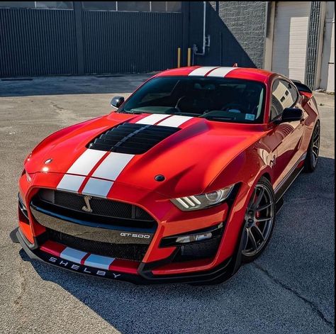 Fort Mustang, Mustang Shelby Cobra, Muscle Cars Mustang, Luxury Cars Audi, Gt 500, R35 Gtr, Ford Mustang Car, Fast Sports Cars, Ford Mustang Shelby Gt500