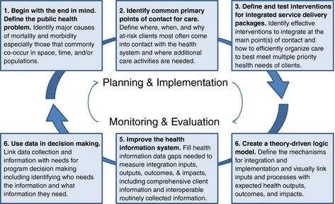 A systematic approach to the planning, implementation, monitoring, and evaluation of integrated health services | BMC Health Services Research | Full Text Public Health Career, Program Evaluation, Implementation Plan, International Development, Family Planning, Behavioral Health, Health System, Health Check, Public Health