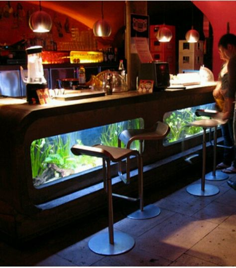 Modern Bar fish tank Fish Tank Bar Ideas, Fish Tank Restaurant, Aquarium Cafe, Aquarium Floor, Aquarium Bar, Unusual Fish, Tank Aquariums, Tanks Modern, Fish Tank Terrarium