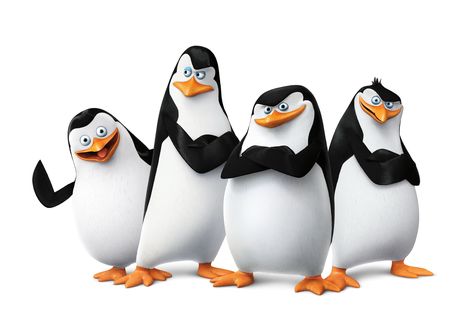 penguins of madagascar #4K #wallpaper #hdwallpaper #desktop Madagascar Penguins, Madagascar Movie, Penguin Wallpaper, Chinstrap Penguin, King Julien, Penguin Illustration, White Background Wallpaper, Penguins Of Madagascar, The Penguins