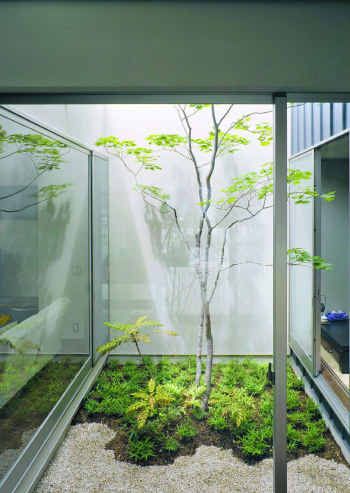 Court yard garden. A tree in the middle of my house would be so cool, especially with a green roof and built into a hill. Yard Garden Ideas, Atrium House, Indoor Courtyard, Pocket Garden, Court Yard, Inside Garden, Internal Courtyard, Roof Architecture, Indoor Gardens