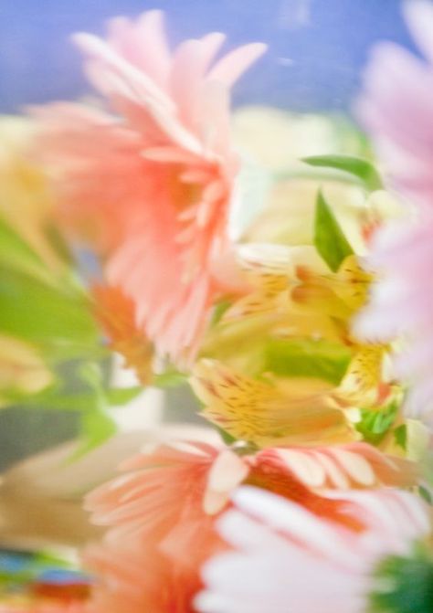 Paul Rousteau, Sensory Art, Phone Wallpaper Patterns, Arte Inspo, Color Inspo, Ethereal Art, Flowers Photography, Aesthetic Art, Aesthetic Wallpapers