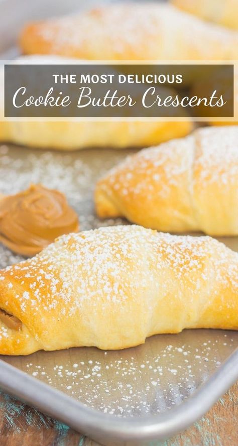 Creamy cookie butter, layered on buttery crescent rolls and topped with chocolate chips creates these decadent Chocolate Cookie Butter Crescents!  #cookiebutter #cookiebuttercrescents #cookiebutterrolls #cookiebutterdessert #chocolatedessert #easydessert Crescent Roll Cookies, Chocolate Chip Cream Cheese, Crescent Roll Recipes Dessert, Brownie Desserts Recipes, Peanut Butter Dessert Recipes, Crescent Cookies, Chocolate Peanut Butter Desserts, Crescent Recipes, Bakery Items