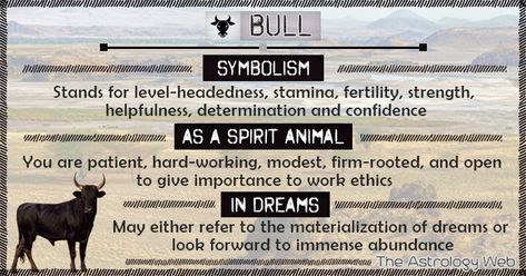 Bull Spirit Animal Meaning, Bull Symbolism, Coyote Tracks, Animal Signs, Spirit Animal Meaning, Totem Animals, Animal Meanings, Spirit Animal Totem, Taurus Bull