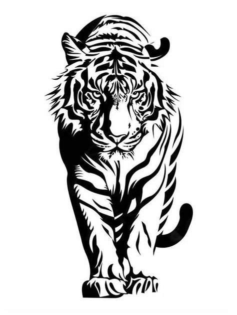 The image is a black and white illustration of a tiger. The tiger is facing forward, with its head held high and its eyes narrowed. Its stripes are clearly defined, and its body is muscular. The tiger is depicted in a predatory stance, with its paws poised to strike. The image is striking in its simplicity, and it captures the power and beauty of this magnificent animal.  ... daha fazla Tiger Vector Design, White Tiger Illustration, Tiger Painting Abstract, Tiger Head Drawing, Tiger Line Art, Tiger Outline, Tiger Stencil, Image Random, Biker Logo Design