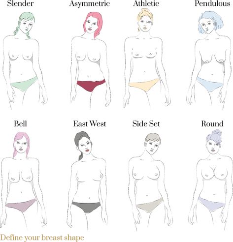 How to find the right bra for your breast shape - Midlifechic Breast Sizes Chart, Nude T Shirts, Female Anatomy Reference, Body Image Art, Bra Fitting Guide, Uk Style, Bra Hacks, Pretty Bras, Bra Size Charts