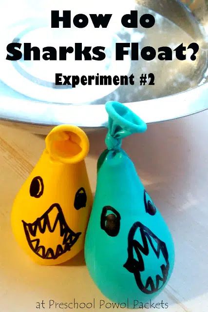 Science Kindergarten, Vetenskapliga Experiment, Experiment Science, Shark Activities, Ocean Theme Preschool, Shark Craft, Cool Experiments, Science Week, Kid Science