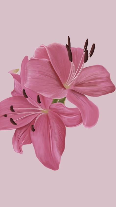 An illustration of two pink lilies. #lilies #pinklilies #flowers #procreate #illustration #illustrationoftheday Lilies Wallpaper Iphone, Lilly Wallpaper Flower, Lily Background Wallpapers, Lilly Wallpaper, Pink Lily Wallpaper Iphone, Pink Lily Wallpaper, Flowers Procreate, Pink Lily Flower Aesthetic, Pink Lilies