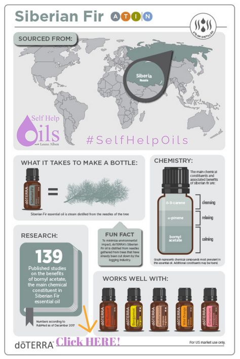 Siberian Fir Doterra, Siberian Fir Essential Oil, Oil Infographic, Doterra Oils Recipes, Siberian Fir, Doterra Oil, Essential Oil Education, Doterra Essential Oils Recipes, Essential Oils Guide