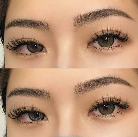 Natural Fake Eyelashes, Lashes Fake Eyelashes, Wispy Eyelashes, Lash Extensions Makeup, Lashes Extensions, Cat Eye Lash, Lash Extensions Styles, Eyelash Extensions Styles, Perfect Eyelashes