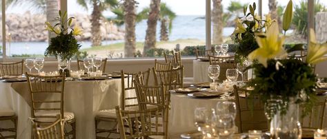 Mazatlan Wedding, Playa Del Carmen Wedding Venues, Marquis Los Cabos Resort Wedding, Wedding Venues Maryland, Wedding Venue Mexico City, Wedding Spot, Rustic Wedding Inspiration, Rustic Wedding, Destination Wedding