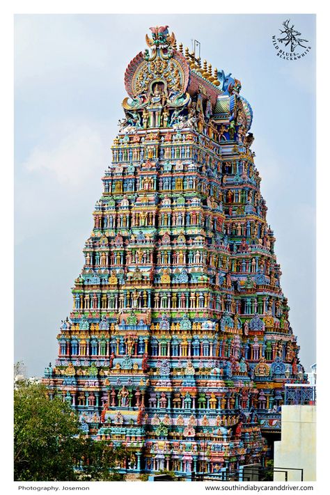 Meenakshi temple is glorious temple most iconic and popular one in South India and many festival was held in this temple. Bagath Singh, Muslim Temple, South Temple, Meenakshi Temple, Rock Temple, Temple India, Indian Temple Architecture, Temple Photography, Kanyakumari