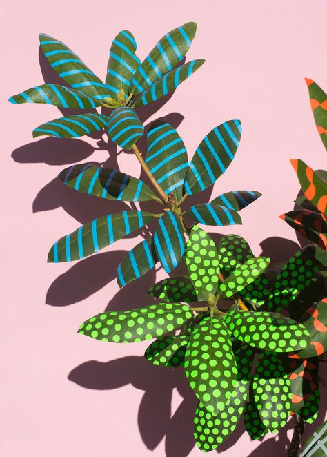 Sarah Illenberger, Posca Art, Floral Image, Fall Prints, Plant Illustration, Plant Art, Best Photography, Art Plastique, Art Project