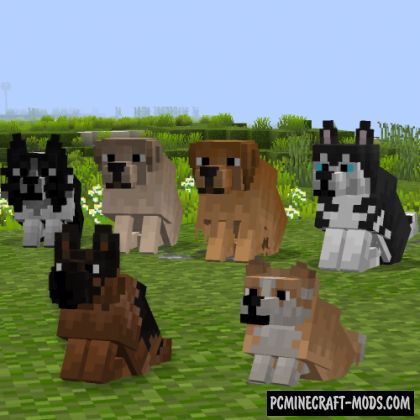 Minecraft Dog Texture Pack, Minecraft Dog Mods, Dog Statue Minecraft, Minecraft Dye Chart, Minecraft Mods Animals, Minecraft Animal Mods, Cute Minecraft Animals, Cat Statue Minecraft, Minecraft Dog